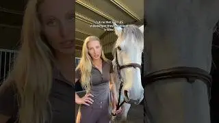&ldquo;oh no that 5yo 1.25 showjumper they just bought is lame&rdquo; #horse #equestrianlife #horseriding