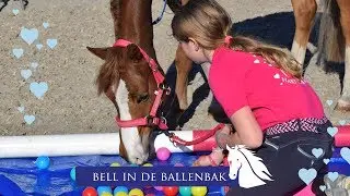 Bixiedag 2018 * Hart voor Paarden *