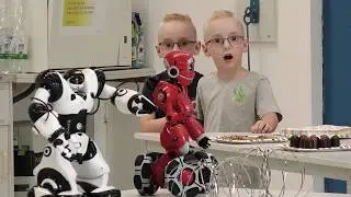 LUKE! Die Greatnightshow! Roboter Rettung