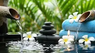 Relaxing Deep Sleep Music, Relieves Stress Music, Calming Music, Relaxing Music, Nature Sounds