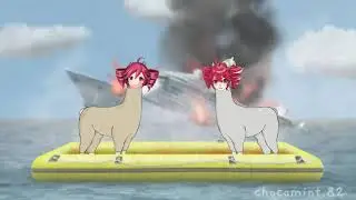 Tetos with Hats 2