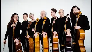 The Boxer - Massive Violins