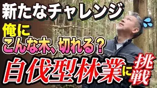 【初挑戦】自伐型林業って実際どうなの？山に入った初日のリアル