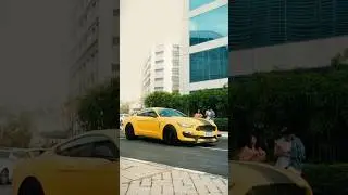 Super Cars 🔥 In college event #supercars #mustanggt #bmwm3 #college #superbike #h2r #zx10r #z900