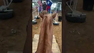 Mounted Police training