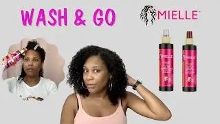 Trying Mielle Air Dry Products For A Wash And Go!