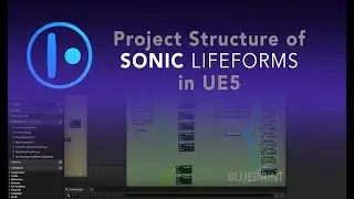 Project Structure of the Sonic Lifeforms App in the Unreal Engine 5