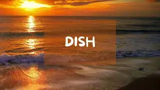 DISH ( Diffuse idiopathic skeletal hyperostosis)