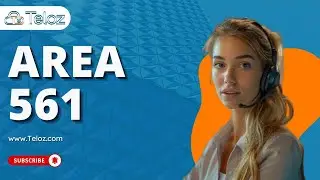 Everything You Need to Know About Area Code 561 | Teloz