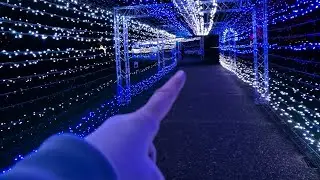 Enlightened Christmas Light Trail 1  #christmaslights #christmaslighttrail #holidayswithyoutube