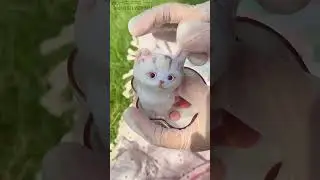 Perfect Gift for Cat Lovers!💕 SQUISHYCHUU.COM