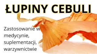 Zbieraj łupiny cebuli! Sprawdź, co zrobia z żylakami i cholesterolem