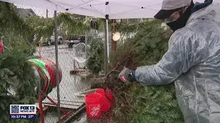El Centro de la Raza Tree Sale | FOX 13 Seattle