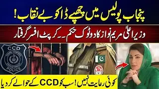 Dacoits Hidden Inside Punjab Police Exposed! | CM Maryam Nawaz Big Order CCD In Action | City 41