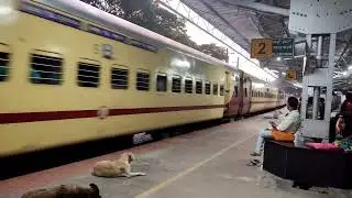 12786 Kacheguda Superfast skips Bengaluru East | Station Dogs give a damn about passing train..