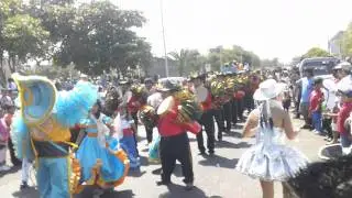Negritos Novenantes De Arica 2011