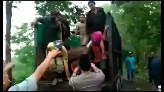 Mencekam, Komplotan Pencuri Kayu Diringkus, Terdengar Letusan Senjata Api