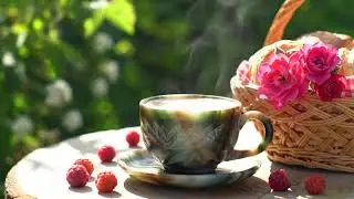 Good Mood Jazz music - Instrumental Jazz Relaxing Music & Elegant December Bossa Nova for Good Mood