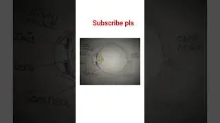 eye diagram easy to draw step by step#like #subscribe #follow #eyes #comedy #share #comment
