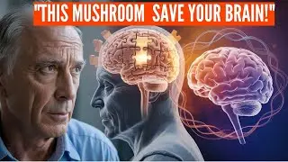 This Mushroom Reverse Parkinson&rsquo;s and Dementia Symptoms |New Hope for Alzheimer&rsquo;s |Neurodegeneration