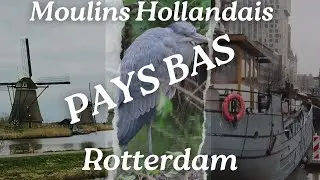 Visite des moulins de  kinderdijk et de la ville de Rotterdam
