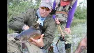 JP Ross 2 weight Beaver Meadow fly rod meets Godzillia