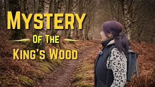 A Google Maps Pin Led Us on a Remarkable Adventure