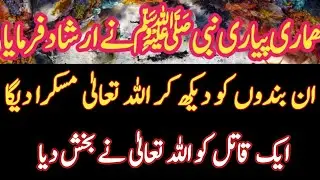 Sahih bukhari hadees with urdu translation full || rite islam