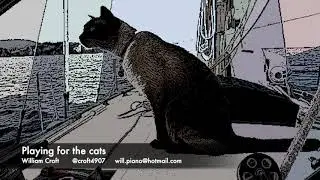 Playing for the cats (William Croft) Lounge music