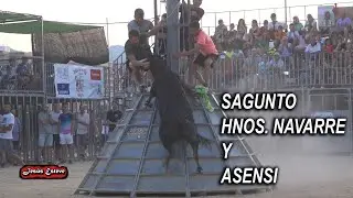 VACAS DE HNOS NAVARRE  Y ASENSI  22 07 2019