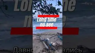 учить английский, english learn #english #learning #live #like #talkenglish