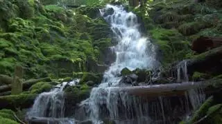 Waterfalls of the Pacific Northwest 4k NatureVisionTV