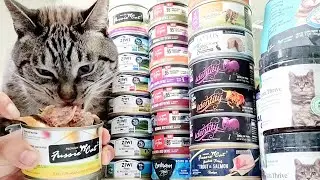 Fussie Cat Tuna & Anchovies in Aspic (meat jelly) Wet Cat Food Eating Reviews