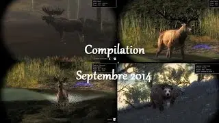 The Hunter : Compilation Septembre 2014