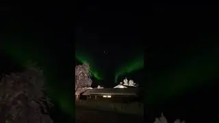 11.Jan.25 northern lights #northernlights #norway #troms&oslash; #winter #shortvideo #snow #visitnorway