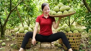 Harvesting 1000+ Kg Durian Custard Apple Goes To Market Sell, Unexpectedly Attacked by Wild Bees OMG