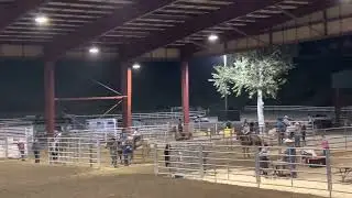 Mister Cash Flo & Ruby Barrel Racing.