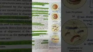 #ncert 11 #notesapp #rivision #bio,#line to line NCERT #short notes #cell cycle and cell division