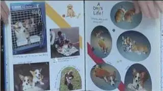 Scrapbooking Ideas : Scrapbook Ideas for Pets