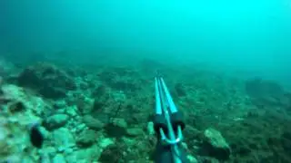 1you