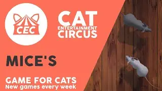 CAT CRAZY GAME  Realistic 4K - 40 Minutes - Catch mouse or mices with sounds