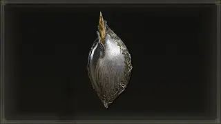 Silver Mirrorshield - Highest Magic Resist Shield - Elden Ring