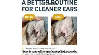Veterinary Formula Clinical Care Ear Therapy Review: Is It the Right Solution for Your Pet?