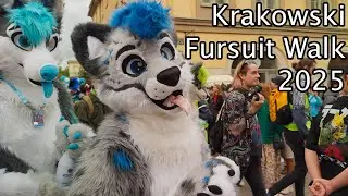 Kraków Fursuit Walk - 2025 [4K]