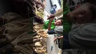Types of corn