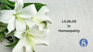LILIALES in Homeopathy