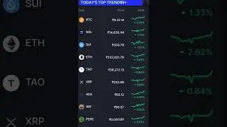 TODAY'S TOP TRENDING COINS