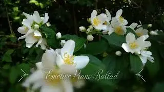Emotive Piano Ballad by Best Piano Music