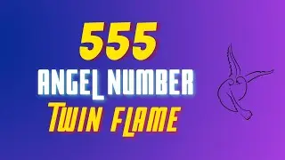 555 Angel Number Twin Flame🔥