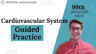 MCAT Bites: Cardiovascular System: Guided Practice | Inspira Advantage